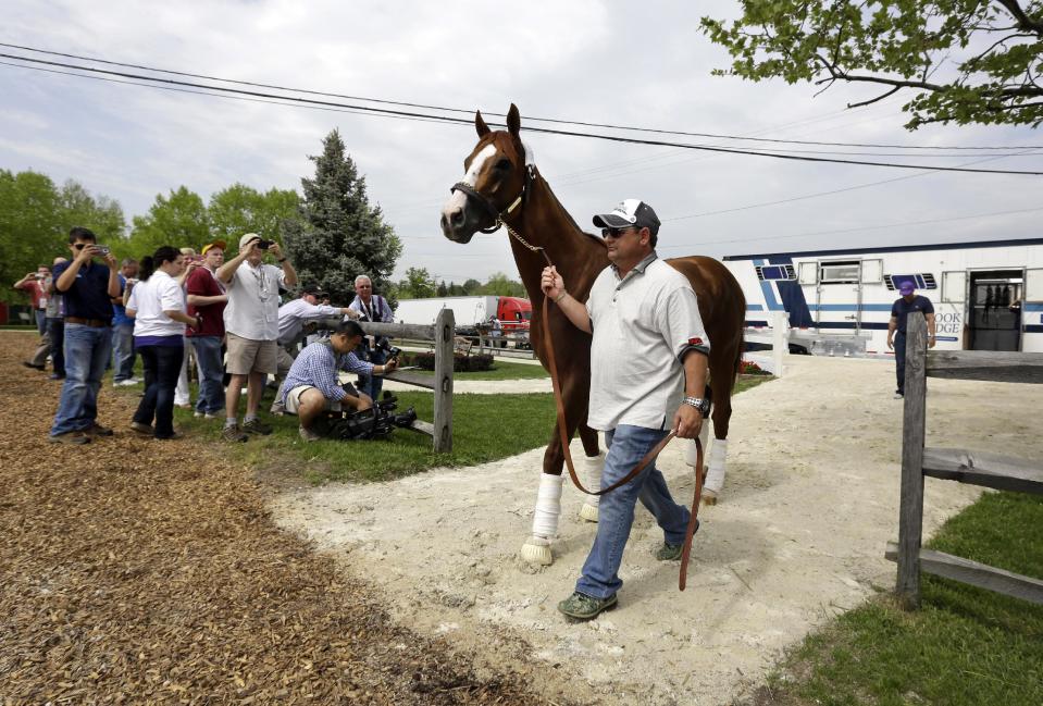 Kentucky Derby winner California Chrome walks with assistant trainer Alan Sherman is unloaded from a trailer at Pimlico Race Course in Baltimore, Monday, May 12, 2014. The Preakness Stakes horse race is scheduled to take place Saturday, May 17. (AP Photo)