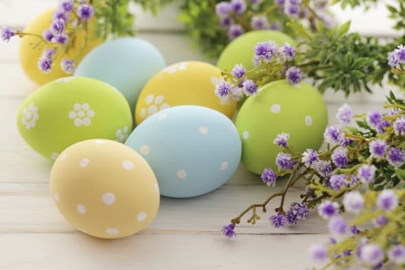 colorful easter eggs and branch with flowers