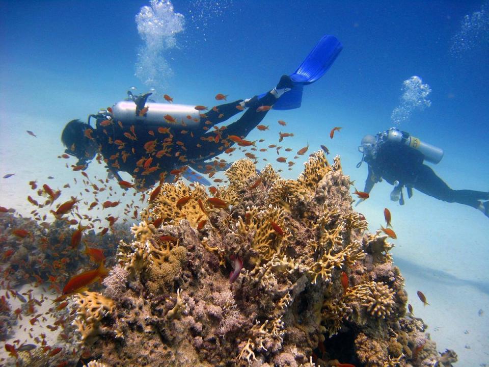 Club Med普吉島度假村於2022年全面翻新，新增的水肺潛水課程讓旅客體驗在地深度旅遊。（Club Med提供）