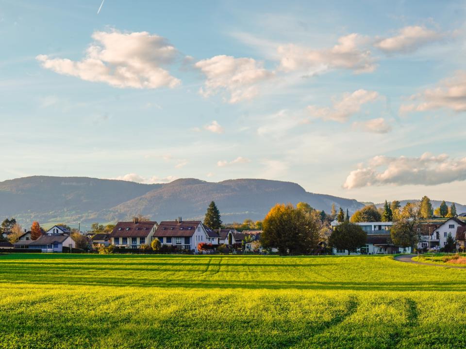 A sunlit field in Roggwil, Switzerland.