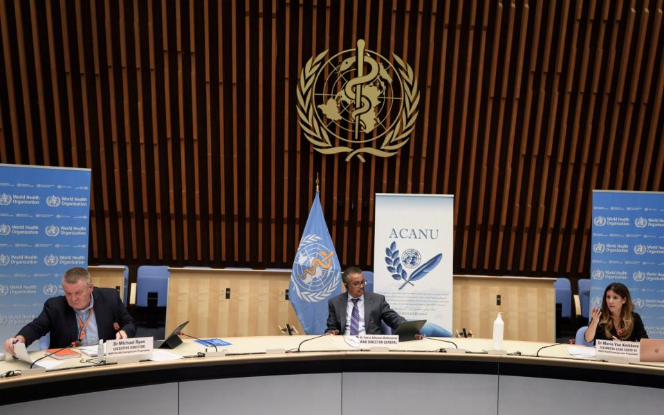 From left - Dr Mike, Ryan director of the WHO health emergencies programme, Dr Tedros Adhanom Ghebreyesus, WHO director general and Dr Maria Van Kerkhove, WHO technical lead for Covid-19  - Fabrice Coffrini/Reuters