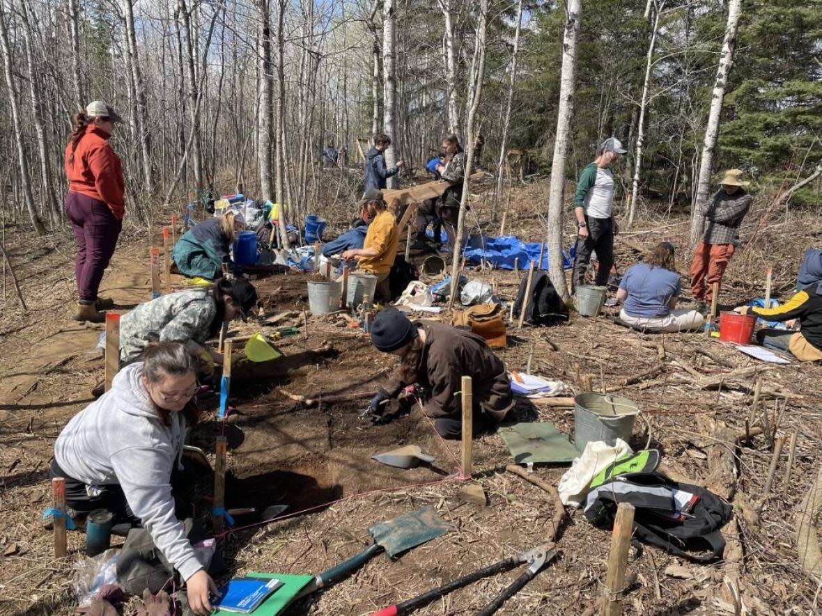 Students at Lakehead University's Thunder Bay, Ont. campus participate in the first field school since 2015, unearthing archeological finds. (Jill Taylor-Hollings - image credit)