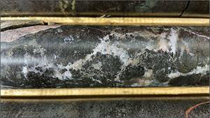 Drill core from 439m depth in the extension of HK22-013 where drilling finished in mineralization last spring. The totally biotite replaced host rock has been brecciated and infilled by a dense network of calcite-apatite veins with 2-5mm biotite crystal growths on the margins.
