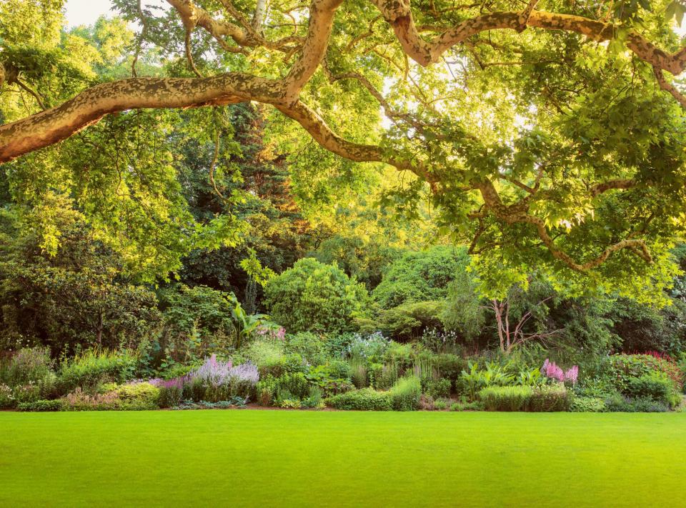 <p>When it's in full summertime glory, the 512-ft.-long, plant-packed border around the garden "looks very special," says Lane. "You just want to soak up the view and enjoy wonderful fragrances on a still day."</p>