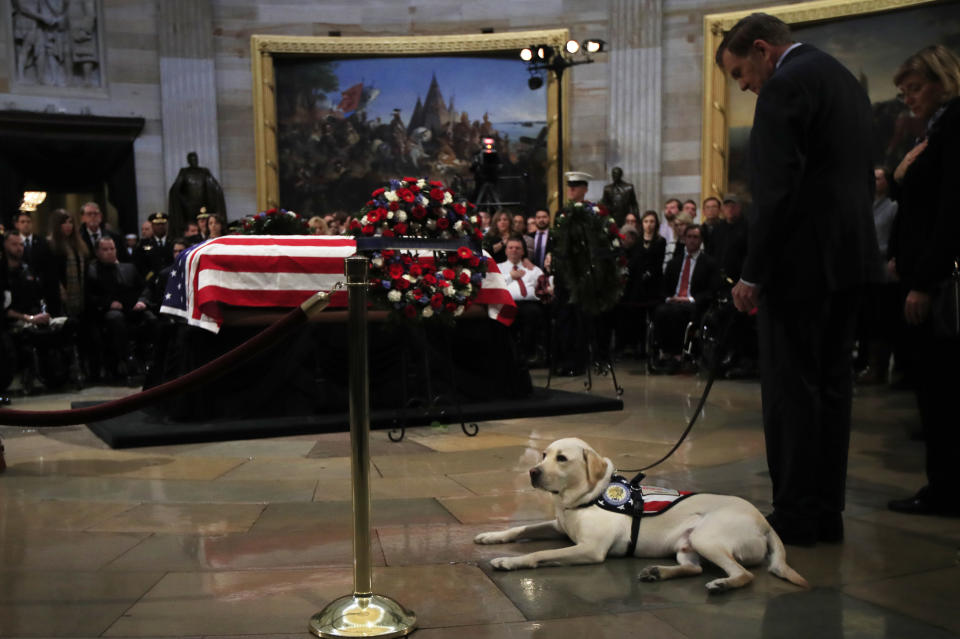 Sully, former President George H.W. Bush's service dog, pays his respect to President Bush as he lie in state at the U.S. Capitol in Washington, Tuesday, Dec. 4, 2018. (AP Photo/Manuel Balce Ceneta)