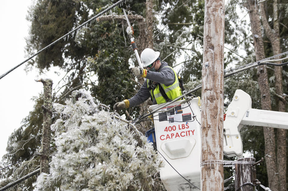 IMAGE: An AEP worker cuts tree branches from a power line (Sholten Singer / The Herald-Dispatch via AP file)