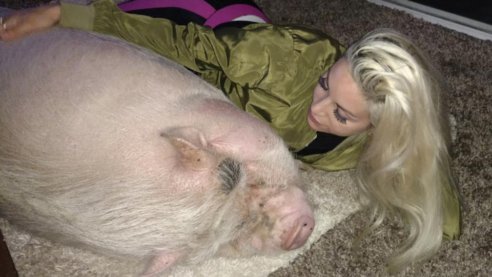 Marcela had longed for a pet pig ever since childhood and fulfilled her dream close to five years ago, after spotting an advert on Facebook. Source: Marcela Iglesias/Caters News