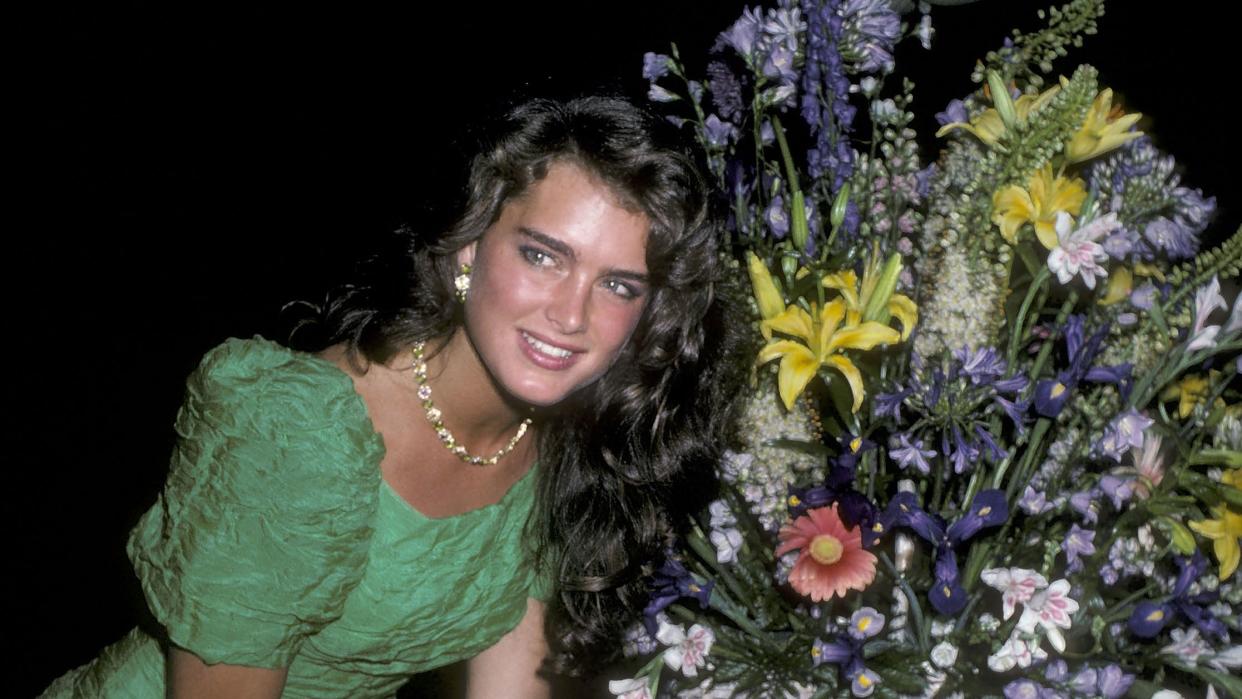 brooke shields' 21st birthday party