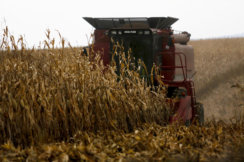 FILE - In this Dec. 4, 2017, file photo, a farmer harvests crops near Sinsinawa Mound in Wisconsin. A group of Midwestern farmers sued the federal government Thursday, April 29, 2021, alleging they can't participate in a COVID-19 loan forgiveness program because they're white. The group of plaintiffs includes farmers from Wisconsin, Minnesota, South Dakota and Ohio. According to the lawsuit, the Biden administration's COVID-19 stimulus plan provides $4 billion to forgive loans for socially disadvantaged farmers and ranchers who are Black, American Indian, Hispanic, Alaskan native, Asian American or Pacific Islander. (Eileen Meslar/Telegraph Herald via AP, File)