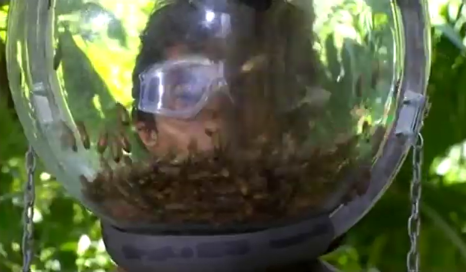 Fatima Whitbread kept cockroach that got up her nose on I'm A Celeb (ITV/Youtube screenshot)