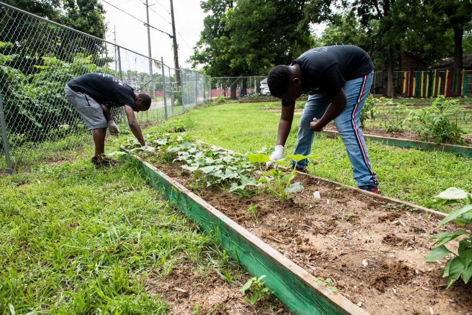 Jaden Williams works in the community garden alongside fellow Young Men on a Mission member Cameron Gray.