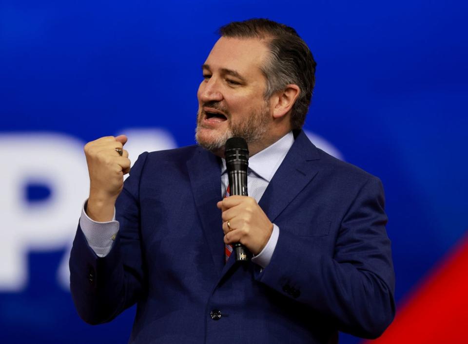 US Sen Ted Cruz (Getty Images)