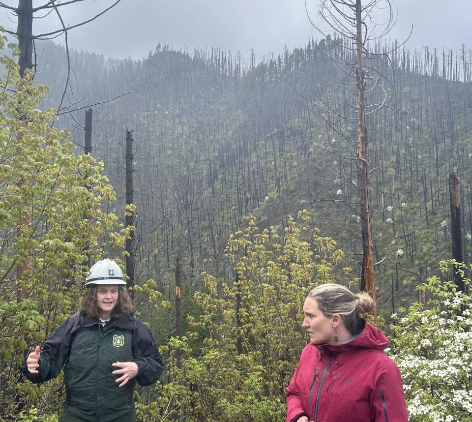  Molly Juillerat, a district ranger for the US Forest Service in the Willamette National Forest (left) and<br>Sarah Altemus-Pope, head of the South Willamette Forest Collaborative (right) in front of part of the forest that burned in a 2014 wildfire. (Alex Baumhardt/Oregon Capital Chronicle)