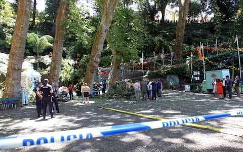  Police tape secure the site where a large tree fell - Credit: HOMEM DE GOUVEIA/EPA