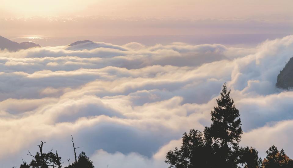 阿里山雲海深受不少旅客喜愛。（示意圖，unsplash）