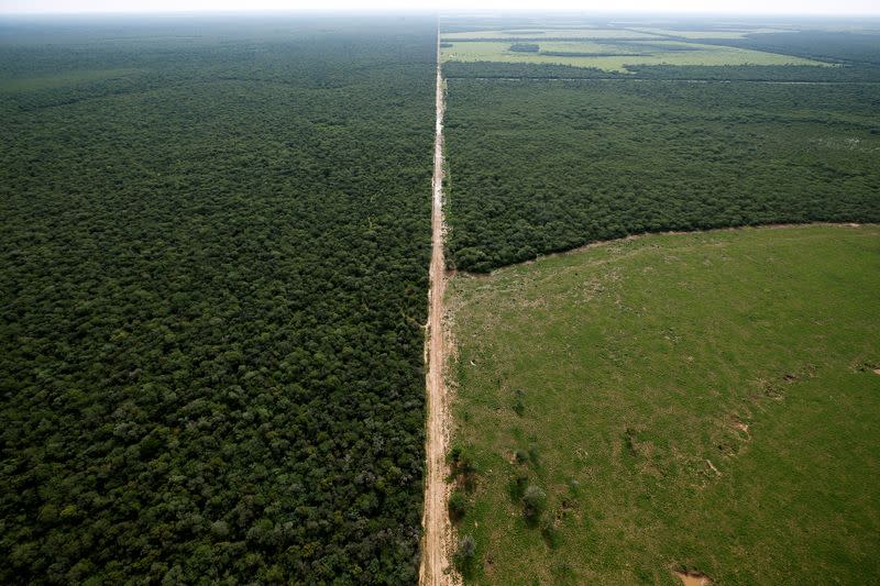 Wider Image: Vientos de comercio global soplan contra la enorme reserva del Gran Chaco en Sudamérica