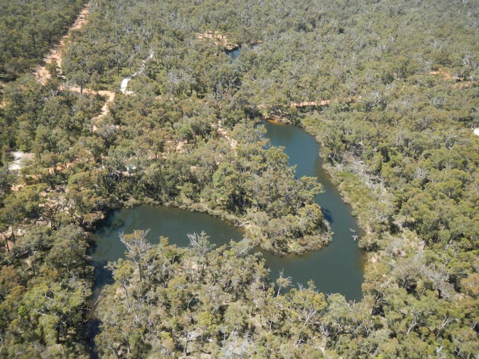 river through bushland