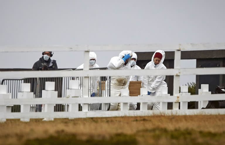 Integrantes del plan Proyecto Humanitario de la Cruz Roja en las Islas Malvinas realizan las exhumaciones para identificar los restos, luego los vuelven a sepultar, algo que no es comƒ"n en un equipo forense. Cementerio Argentino en Darwin. 
Foto: Hernan Zenteno   22_6_17