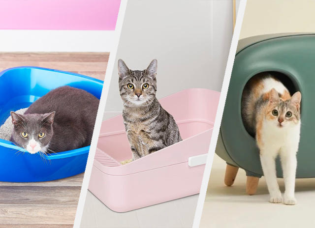 How to Stop Cat Litter Tracking, Top Entry Litter Box