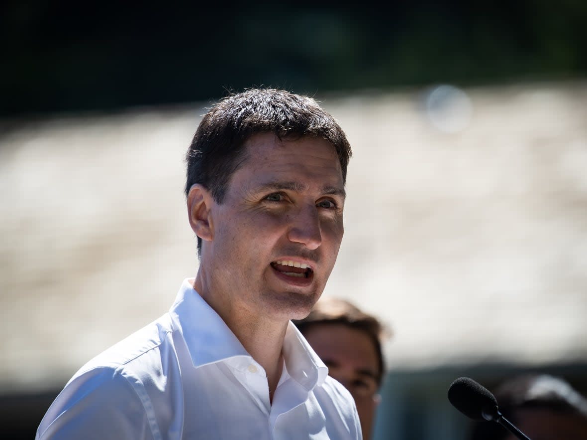 Prime Minister Justin Trudeau, seen during a news conference on July 19. He and the NATO secretary general are set to visit Cambridge Bay, Nunavut, this Thursday. (Darryl Dyck/The Canadian Press - image credit)