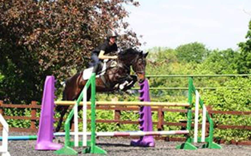 Aspiring showjumper Harlee Pendergast wept was he was jailed - FERRARI PRESS AGENCY