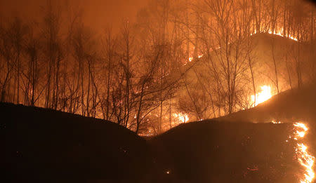 Flames spread along a ridge of a mountain during a wildfire in Goseong