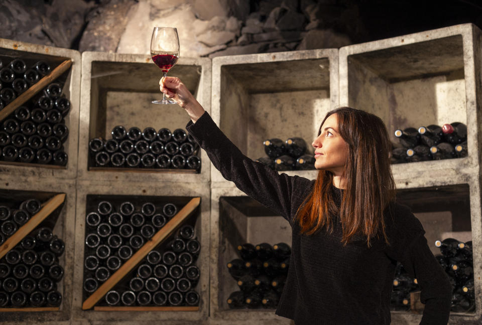 Young girl looks color of wine by raising a glass against the light in the cellar. Mese, Valchiavenna, Valtellina, Lombardy, Italy, Europe.