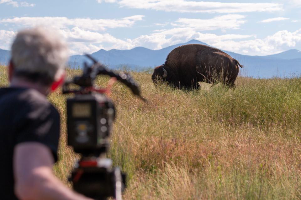 Portions of the film were shot on the Confederated Salish and Kootenai Tribe's National Bison Refuge, north of Missoula, Montana.