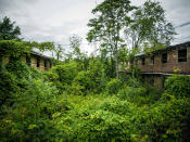 <p>Abandoned overgrown U.S. armory in Ohio. (Photo:Johnny Joo/Caters News) </p>