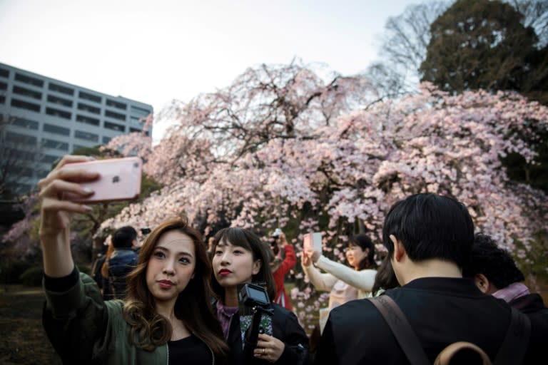 Women take a selfie with cherry blossoms in a park in Tokyo