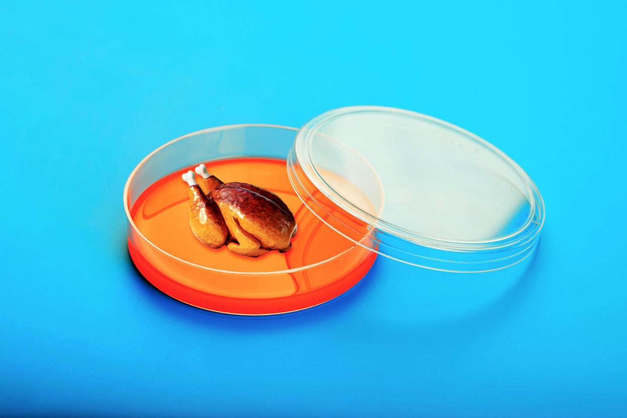 Roast Chicken In A Petri Dish Photo illustration by Salon/Getty Images