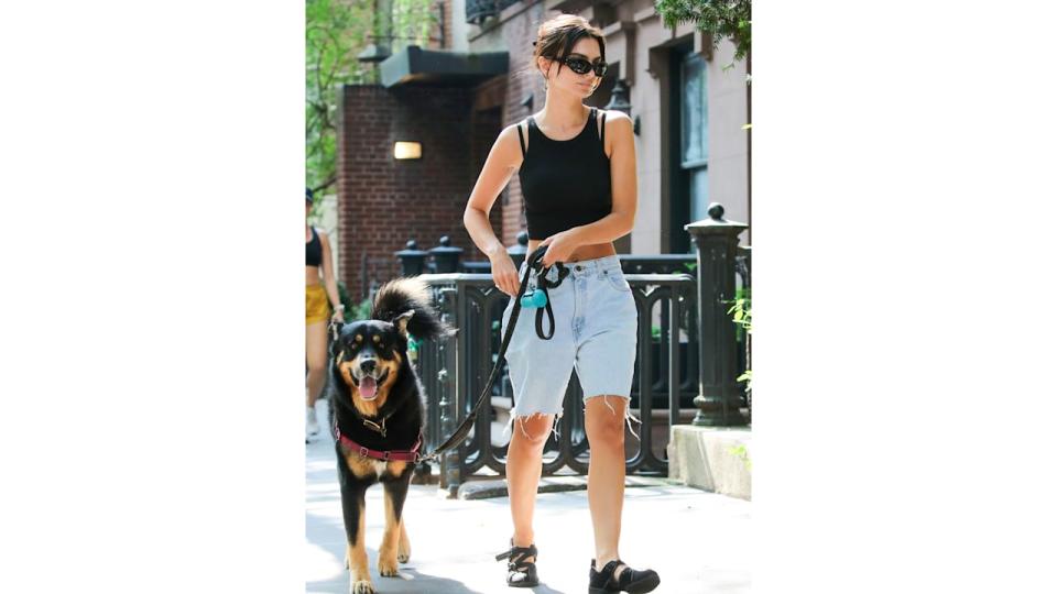 Emily Ratajkowski is seen on June 14, 2024 in New York City walking her dog 