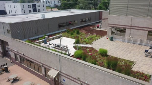 Sackville's town hall is the location of its newest municipal park - on its roof.  (Shane Fowler/CBC News - image credit)