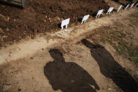 FILE - In this April 7, 2020, file photo, temporary placards mark the plots of those recently buried, mostly from coronavirus, at Hebrew Free Burial Association's Mount Richmond Cemetery in the Staten Island borough of New York. (AP Photo/David Goldman, File)