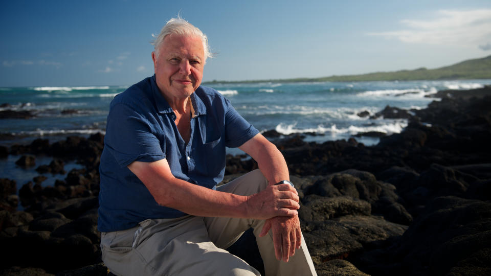 'David Attenborough's Global Adventure' returns to Sky and NOW this month. (Sky UK)
