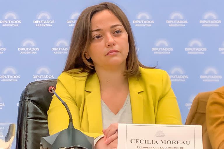 Cecilia Moreau presidiendo la reunión de comisión de Legislación General por el proyecto para crear un fondo para pagar la deuda con el FMI