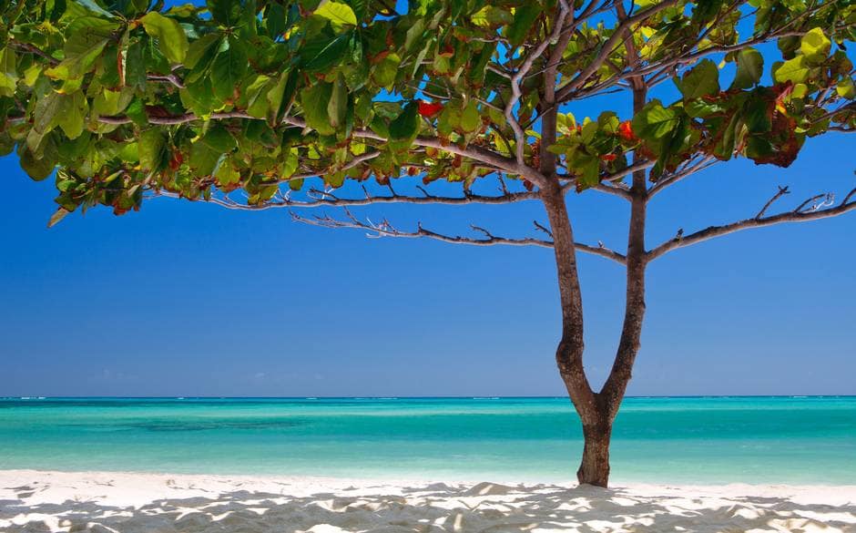 Zanzibar is a nine-hour flight away. But once you arrive, the view from the sand is sublime