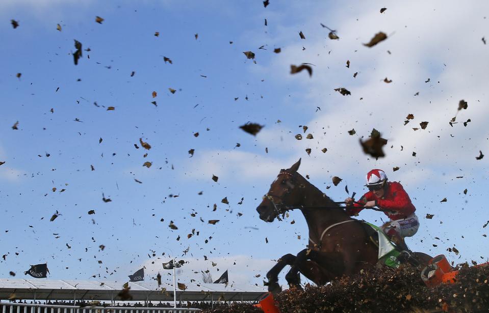 Sam Twiston-Davies on The New One jumps the final fence of the Champion Hurdle Challenge Trophy at the Cheltenham Festival horse racing meet in Gloucestershire, western England in this March 11, 2014 file photo. REUTERS/Eddie Keogh/Files (BRITAIN - Tags: SPORT HORSE RACING TPX IMAGES OF THE DAY)