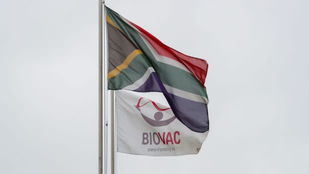 South African flag flies beside a flag bearing the logo of the vaccine manufacturing and storage company Biovac in Cape Town