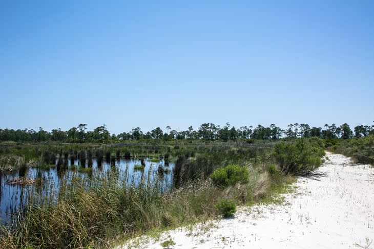 sandy path and water on island