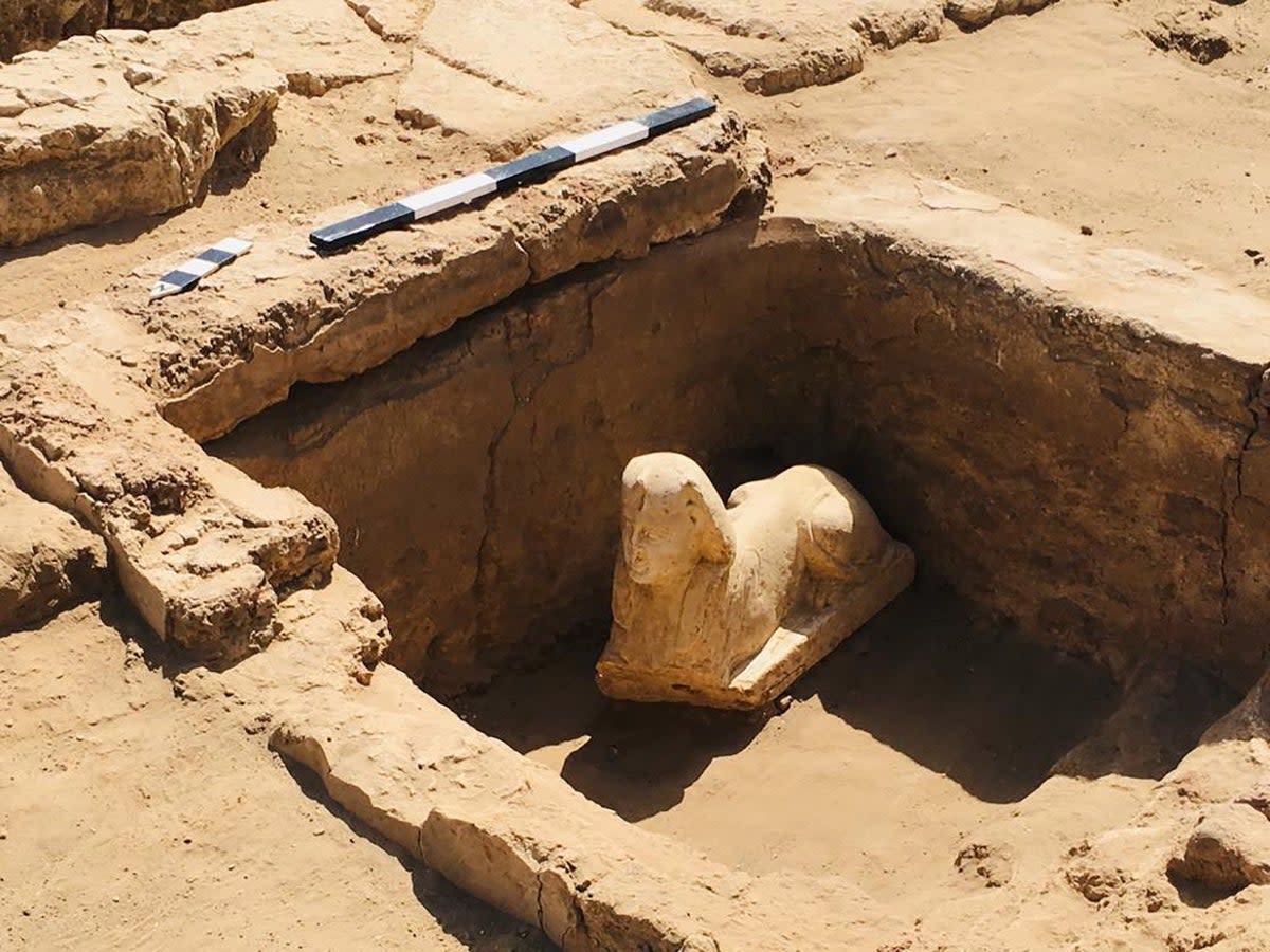 An undated handout photo made available by the Egyptian Ministry of Antiquities on 6 March shows a Sphynx statue unearthed during excavation work at the eastern side of Dendara Temple in Qena governorate, Egypt (EPA)