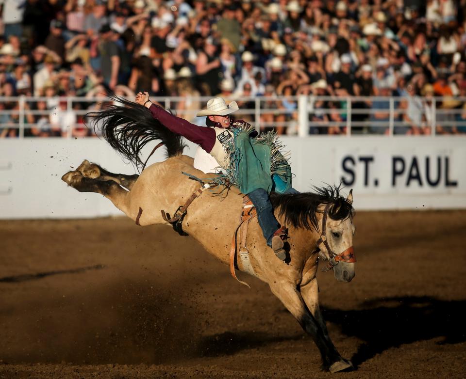 Zack Brown of Red Bluff, Calif., competes Friday in bareback riding at the St. Paul Rodeo.