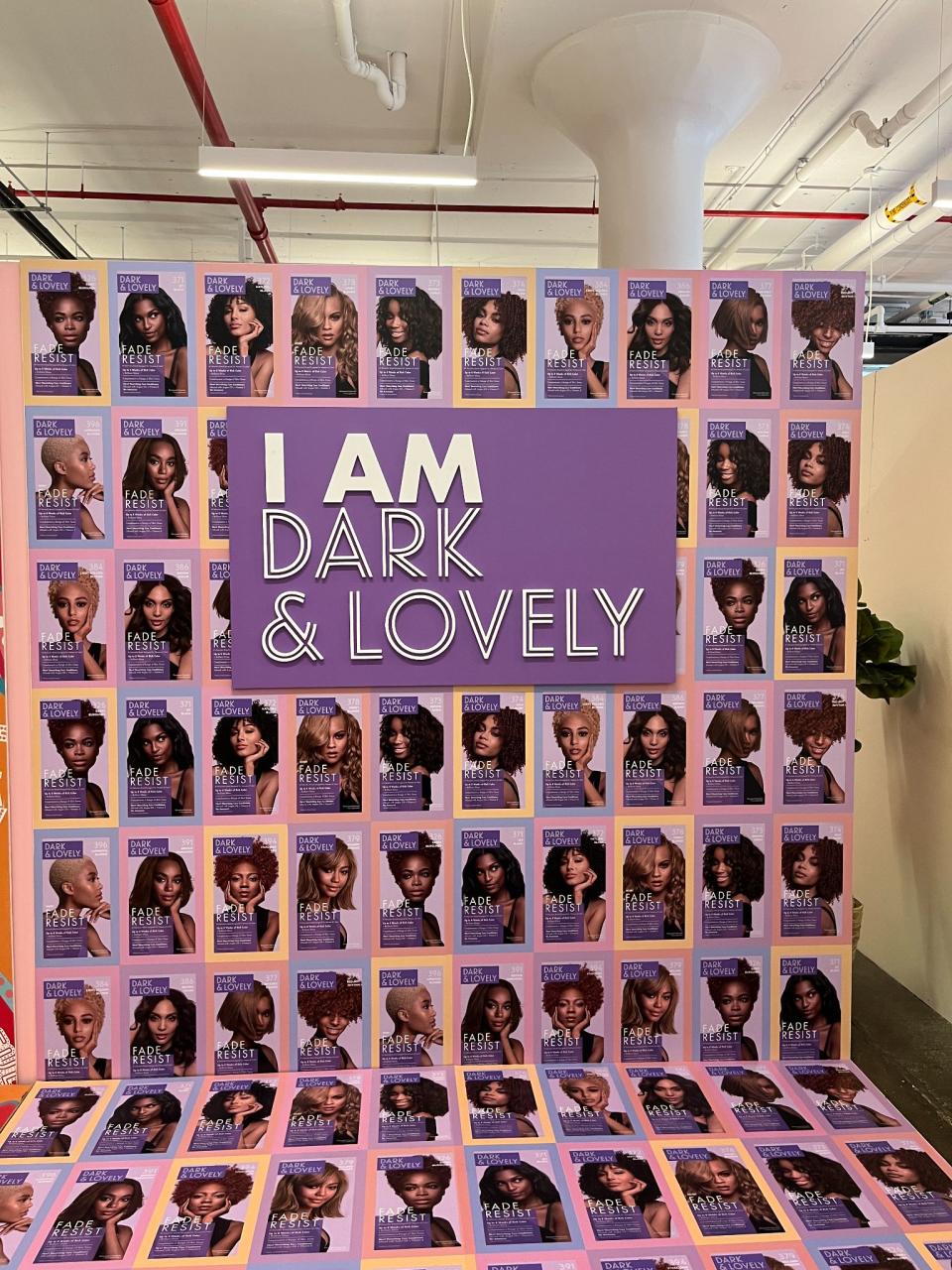 The Black Hair Experience exhibit. - Credit: courtesy of the black hair experience