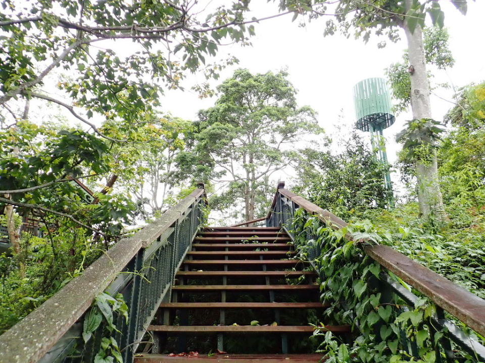 南投金龍山步道