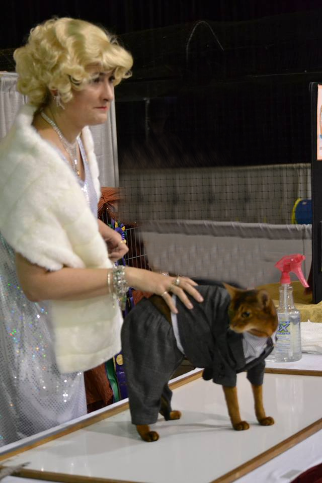 Marilyn Monroe and JFK were among the costumed pairs at a previous cat show.