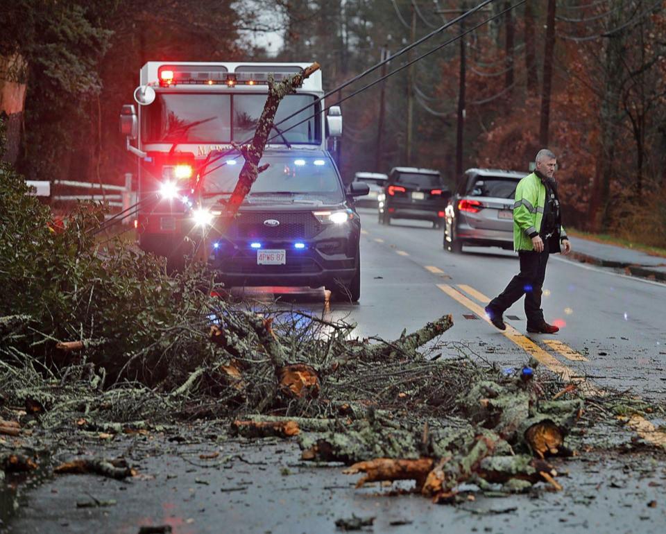 PHOTO: High winds and rain have caused many trees to fall in Marshfield, Massachusetts, Dec. 18, 2023. (Greg Derr/The Patriot Ledger/USAToday Network)