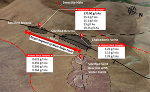 Principal vein targets at the Mahogany Project, key geologic features and select historic rock sampling highlights.