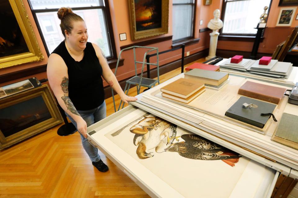 Alexandra Copeland opens a drawer featuring Audubon paintings which can be found in the Art Room on the third floor of the New Bedford downtown public library.
