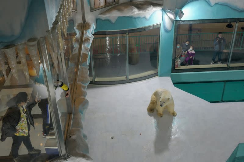 Visitors look at polar bears at an enclosure inside a hotel at a newly-opened polarland-themed park in Harbin