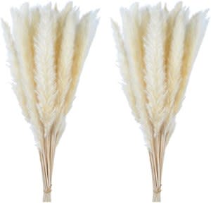 white pampas grass